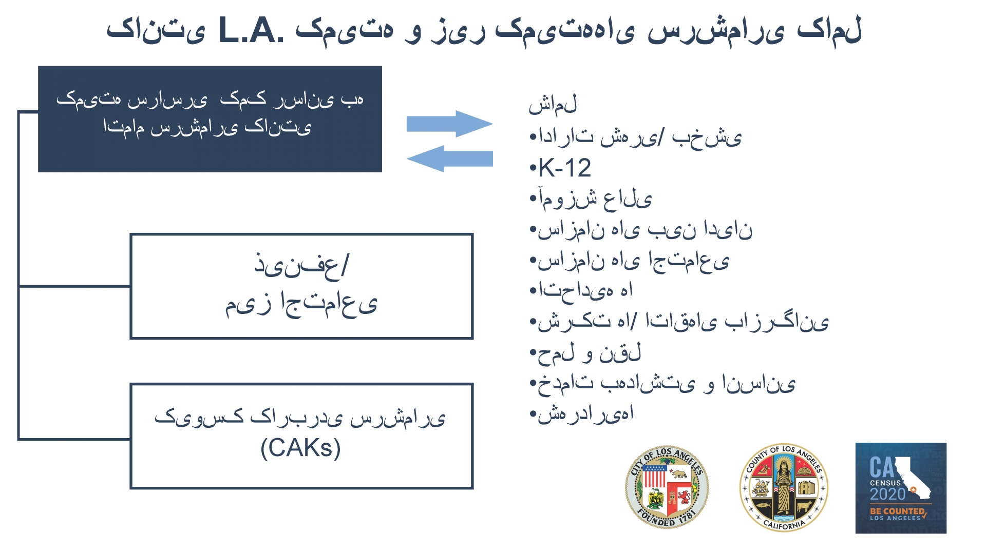 نمودار سازمانی CCC